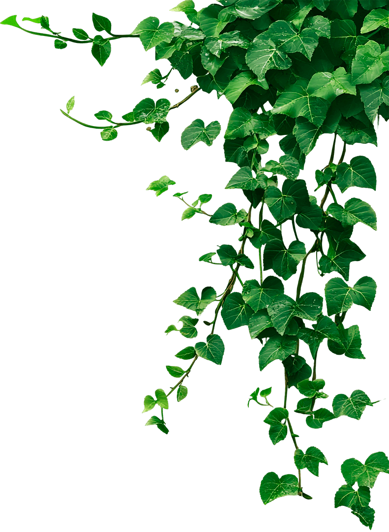 Green Aura Spa